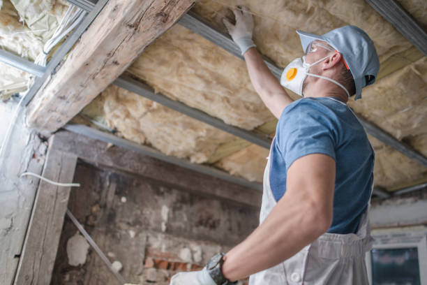 Best Insulation Installation Services in Palmhurst, TX