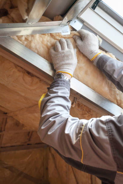 Best Types of Insulation in Palmhurst, TX