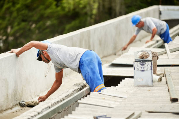Best Insulation Maintenance and Repair in Palmhurst, TX