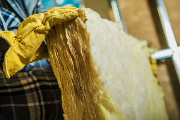 Best Specialty Insulation in Palmhurst, TX