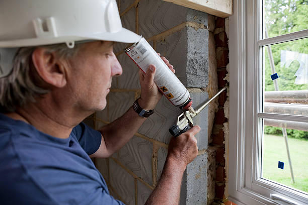 Best Insulation Maintenance and Repair in Palmhurst, TX